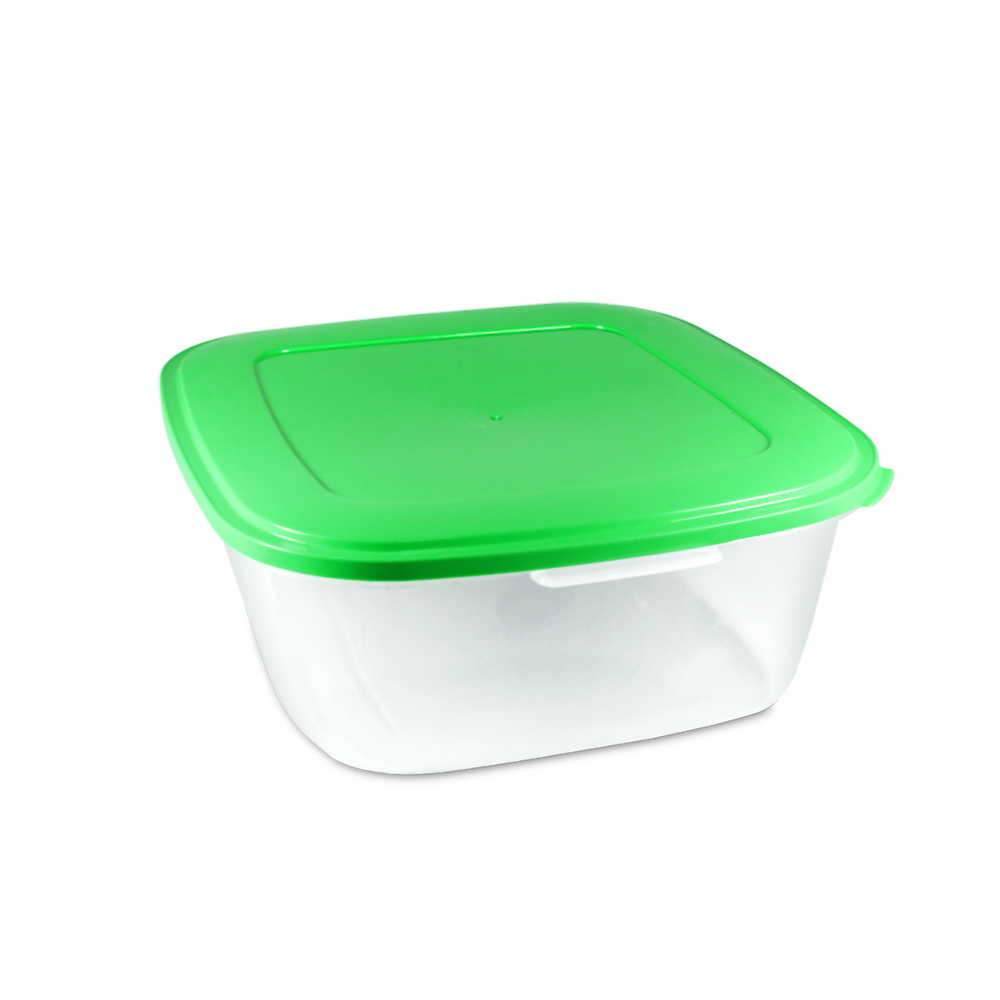 CAJA 4 LITROS CON TAPA KENDY