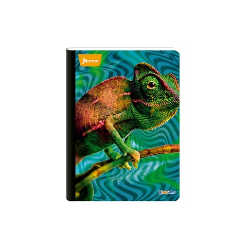 [18116] CUADERNO COSIDO X PRE MAS 100H CUA NORMA