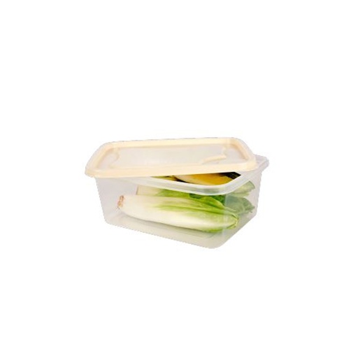 [18040] RECIPIENTE RECTANGULAR STAR 2,0 LT NP