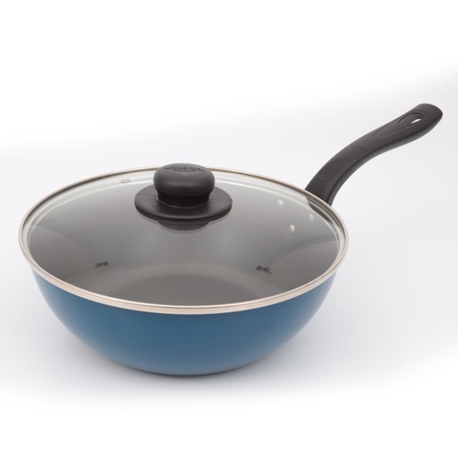 [19319] SARTEN WOK 24 CM MASS COLOR TV UNIVERSAL